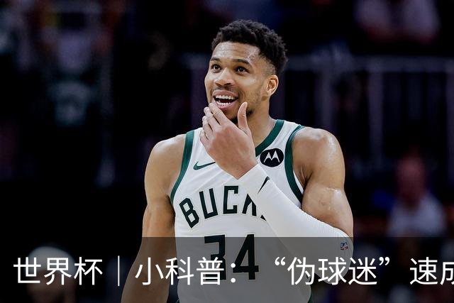 世界杯｜小科普：“伪球迷”速成手册